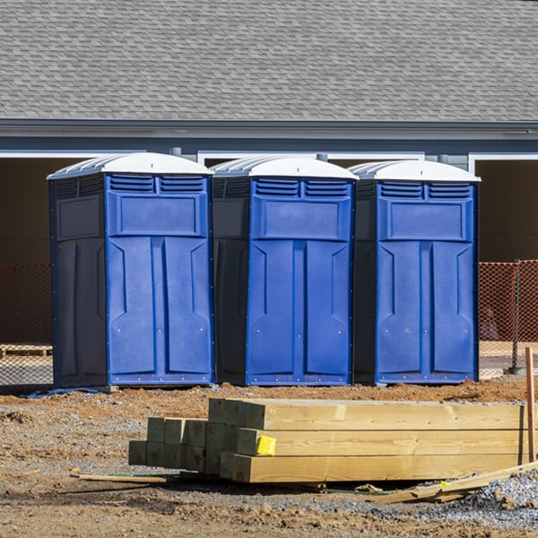 how often are the porta potties cleaned and serviced during a rental period in St Joe IN